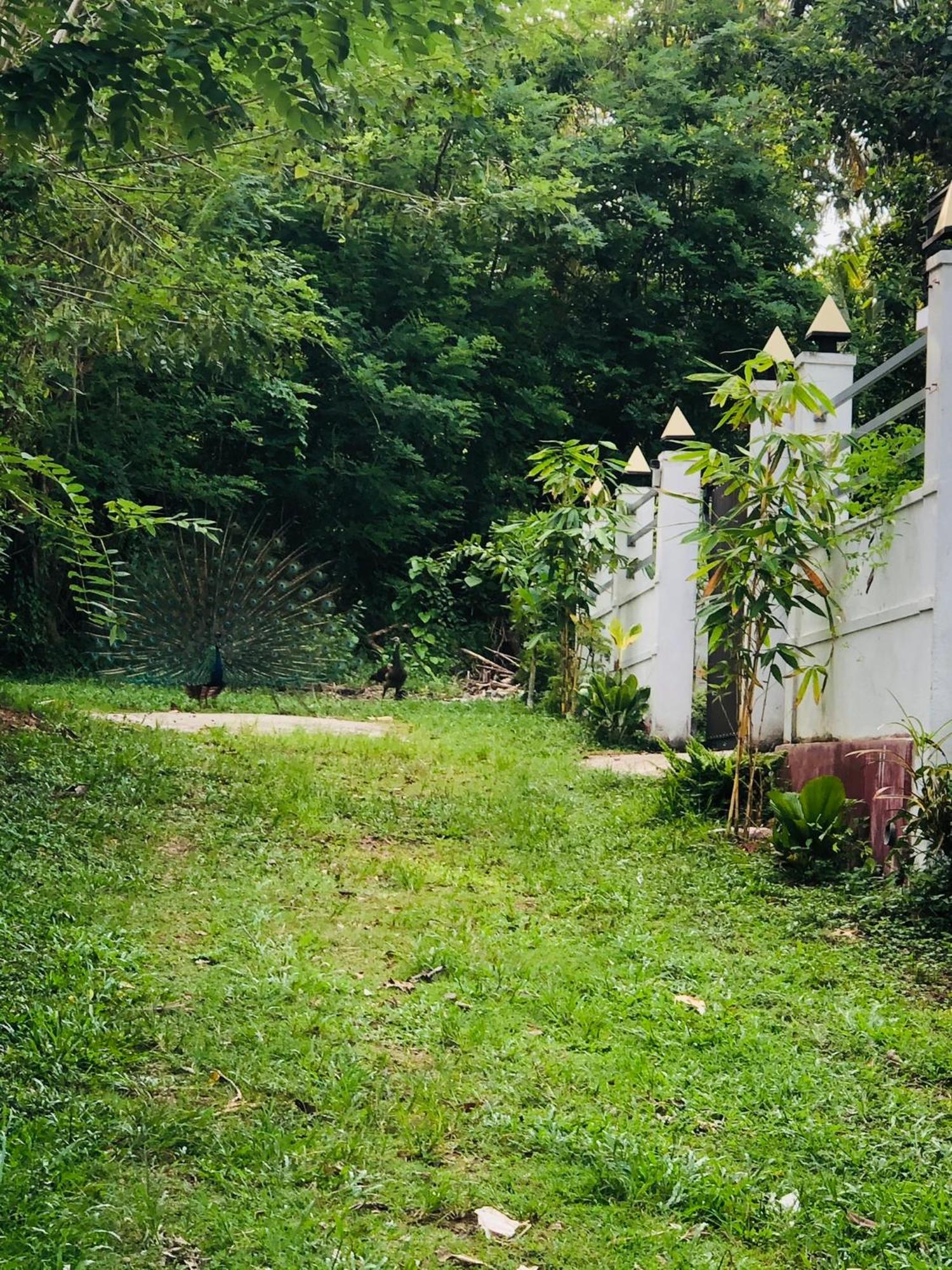 Lanka Villa Mirissa Esterno foto