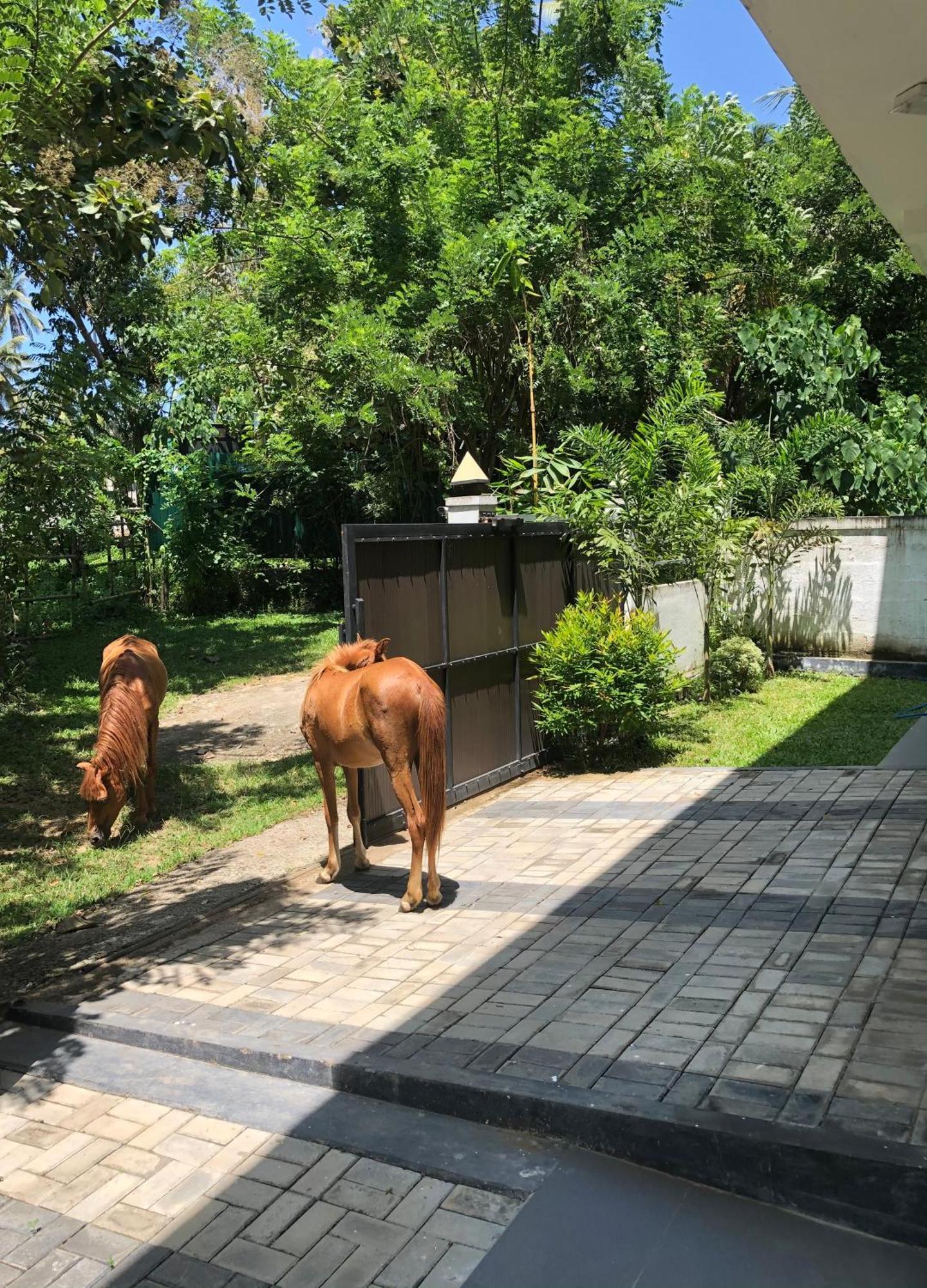 Lanka Villa Mirissa Esterno foto